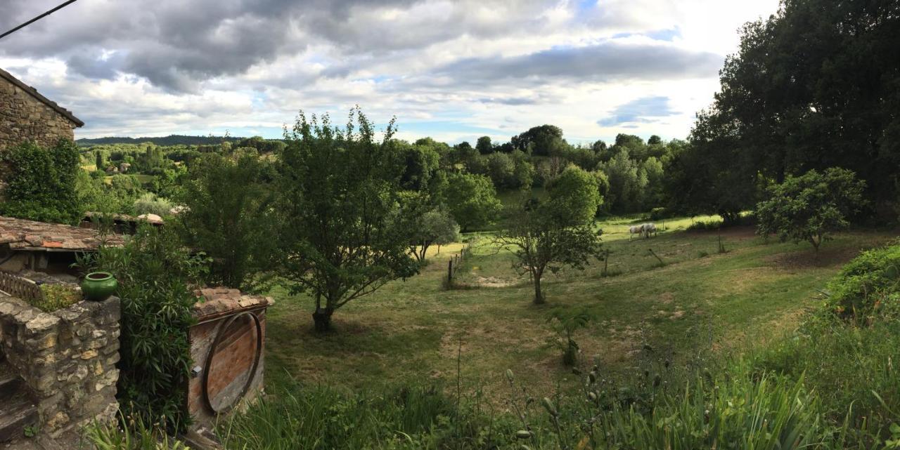 Gite Cocotte Luberon, Forcalquier Pierrerue  Exterior photo